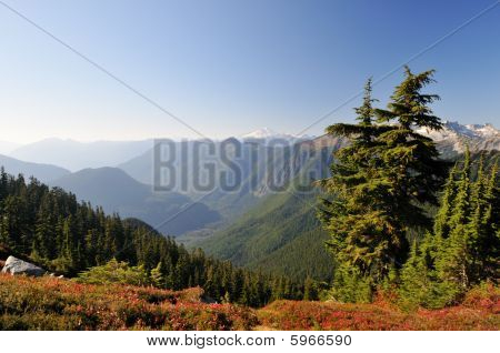 Mt. Baker vom versteckte Lake trail