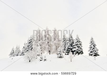 beautiful winter landscape in Sirnea, Romania
