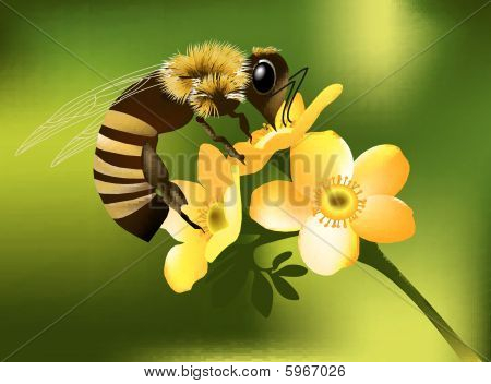 Ape su fiore.