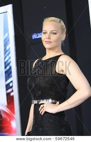 LOS ANGELES - FEB 10:  Abbie Cornish at the 