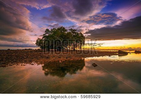 Tropical beach in ebb time on sunset background