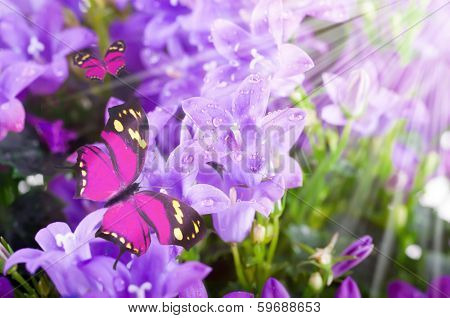 Flowers and batterfly, dark blue hand bells