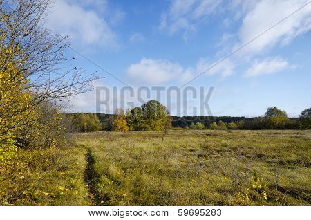 Golden autumn