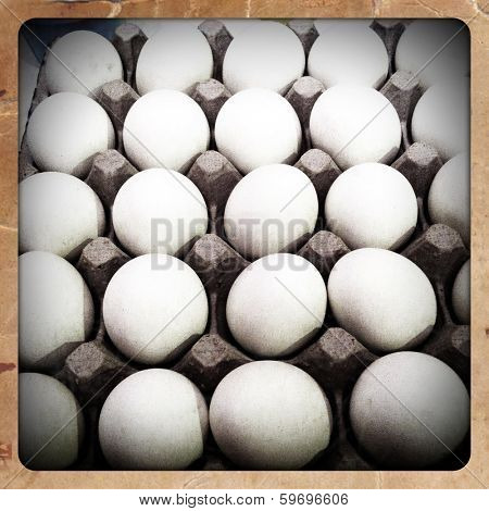 white eggs in a carton in the instagram style