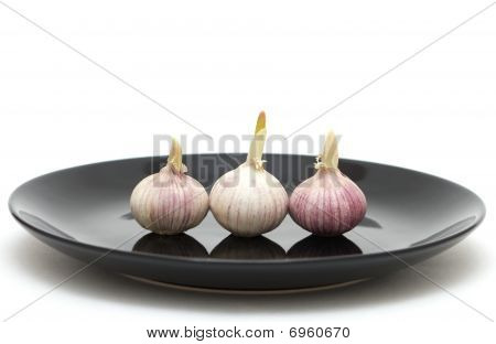 Tre Garlics på en tallrik