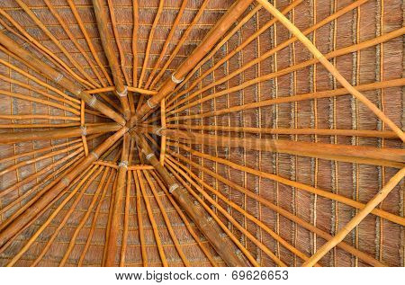 Palm Tree Roof