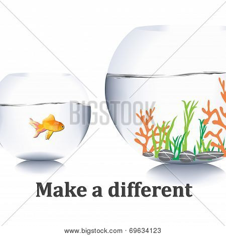 Fish Jump Out Of Water