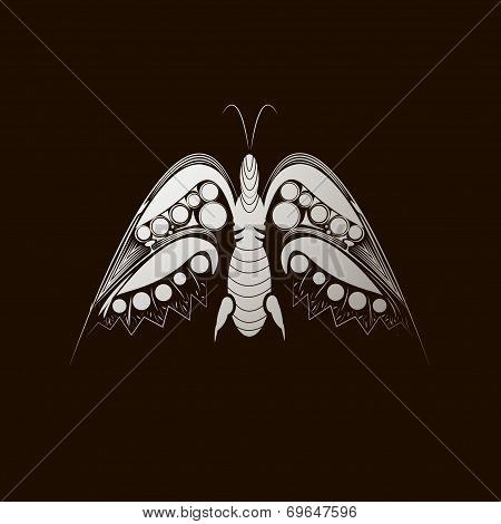 insect