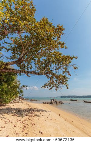 Coconut island beach of Nai Yang Koh Phuket in Thailand