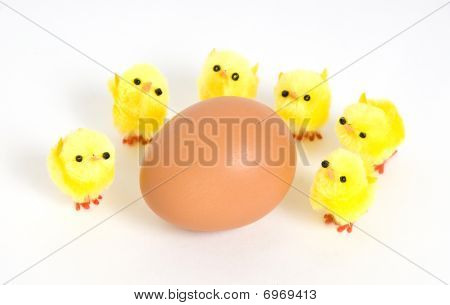 ไก่ไข่และไก่