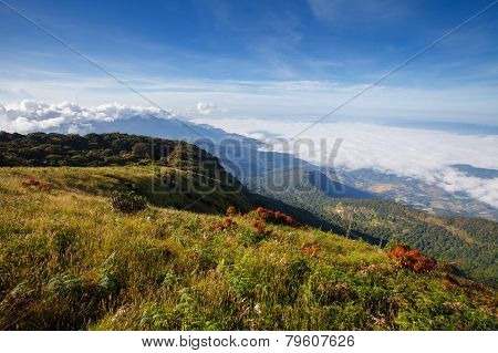 Fog over the mountain at Doi Inthanon national park, Thailand