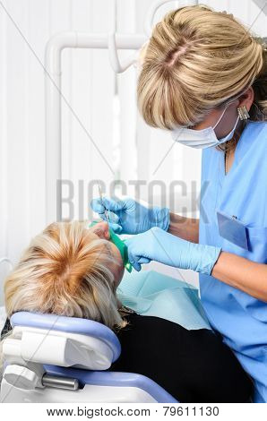 dentist with patient, cleaning and curing