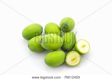 Calyx, Lotus Seeds Green .
