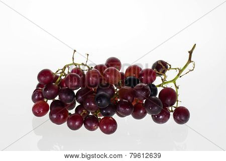 Red Grape