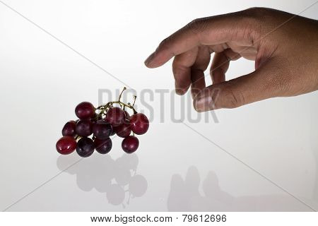 Red Grape