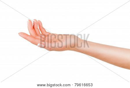 Woman's Hand
