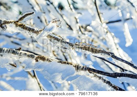 Detail Of Wood In Ice At Calm Mountain Landscape
