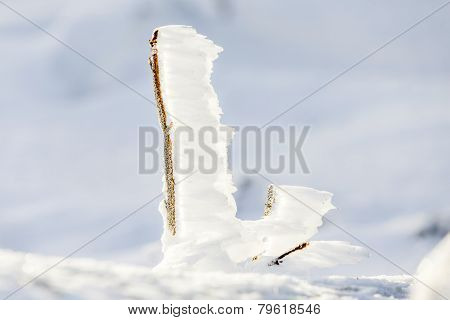 Detail Of Snow And Ice At Frozen Plant  At The Winter Mountain Landscape