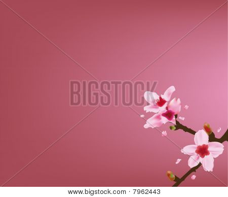 lBlossom