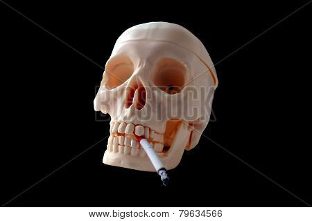 Smoking harms your health