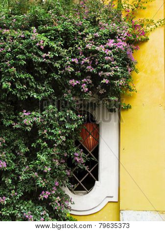 Window in Rome