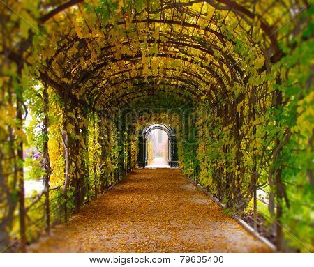 Park in Schönbrunn Austria
