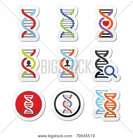 DNA, genetics vector icons set