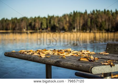 Table With Fall Leaves