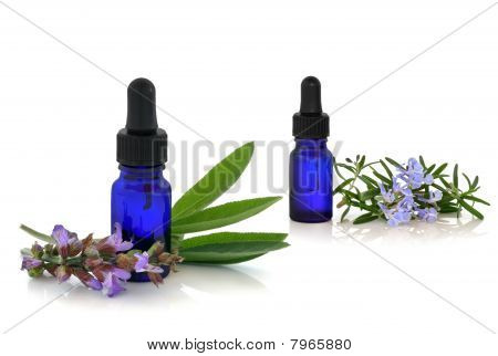 Rosemary And Comfrey Herb Therapy