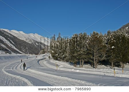 Engadin, 스위스 스키 Crosscountry