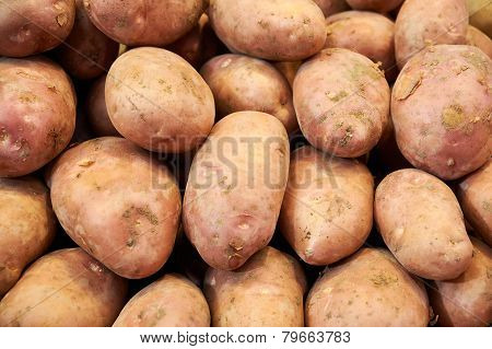 Pink Potatoes Closeup On Market