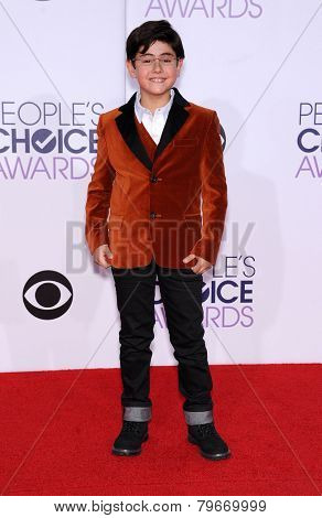 LOS ANGELES - JAN 07:  Blake Garrett Rosenthal arrives to the People's Choice Awards 2014  on January 7, 2015 in Los Angeles, CA                