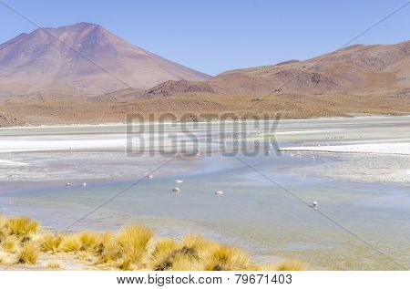 Bolivia, Antiplano - Canapa Lake