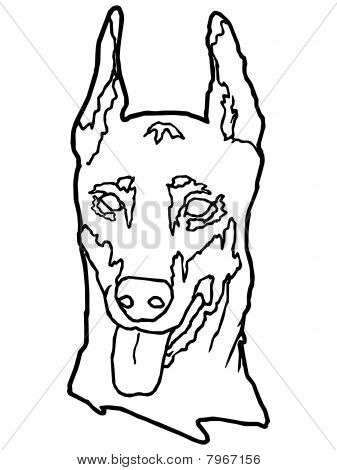 Doberman