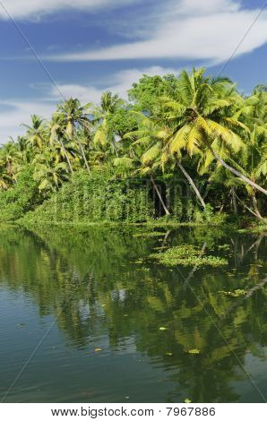 India - Kerala Canal