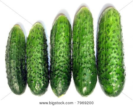 Cetriolo