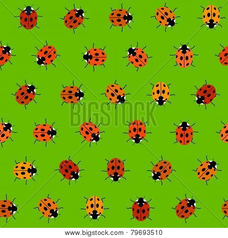 Seamless Pattern with Orange Ladybugs. Seamless vector.