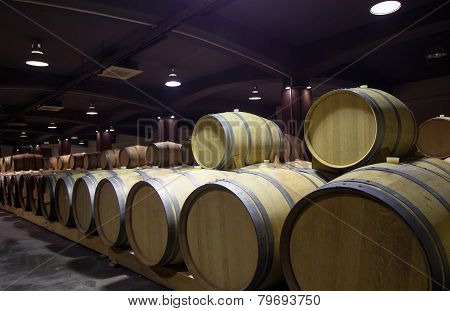Wine Barrels Cellar Bulgaria