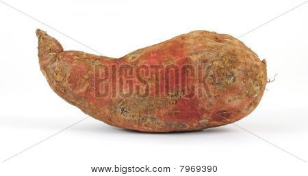frische batata