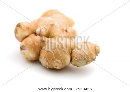 Ginger