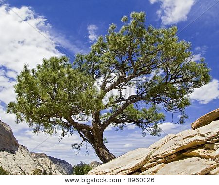 Angels Landing strom