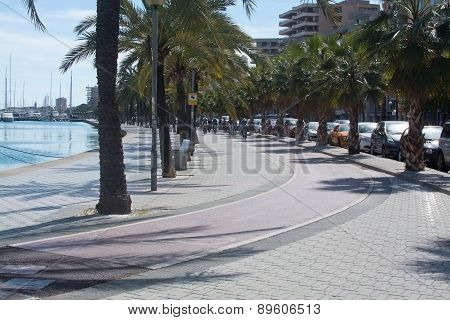 Bicyclists practice along the Paseo Maritimo
