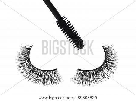 Black False Eyelash And Mascara Isolated On White Background