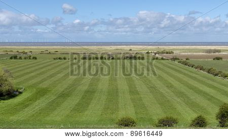 Stripey Field