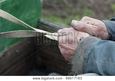 Hands Of An Old Man Holding Reins On His Horsecart.