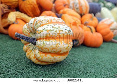 Pumpkin