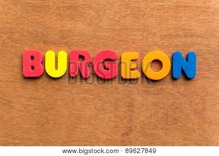 Burgeon