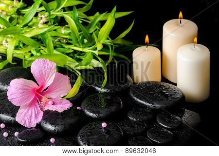 Beautiful Spa Still Life Of Pink Hibiscus Flower, Twig Bamboo, Beads And White Candles On Zen Basalt