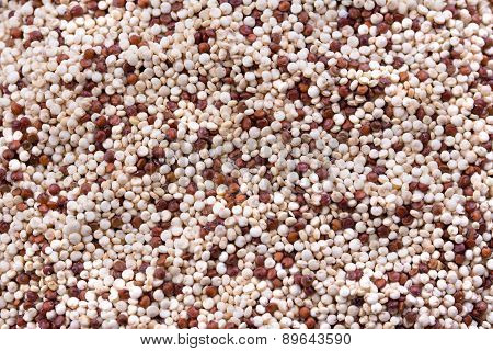 quinoa