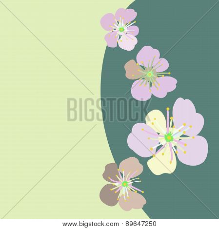 Spring flowering garden